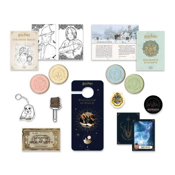 Calendrier de l'avent Harry Potter: Holiday Magic