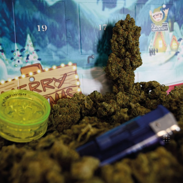Calendrier de l'avent Papy CBD