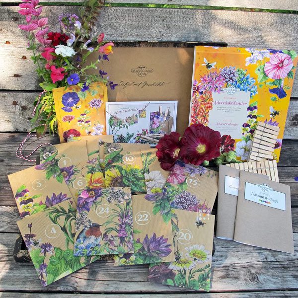 Calendrier de l'avent Semences de Fleurs