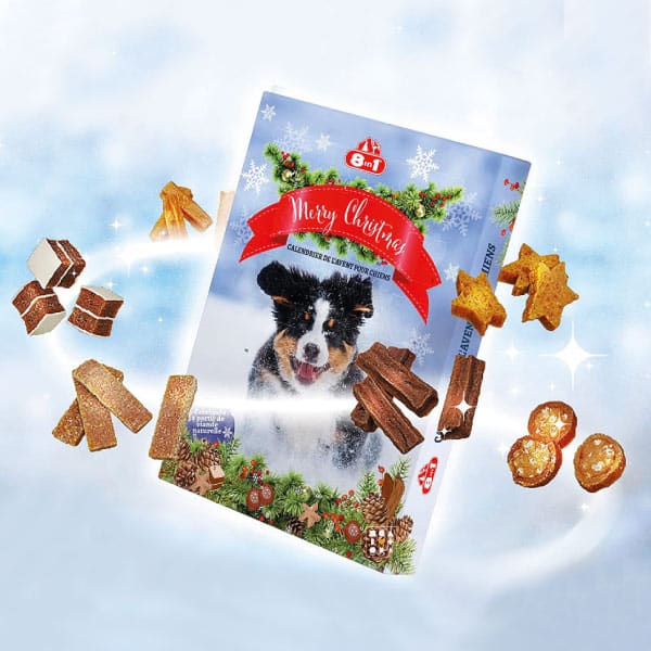 Calendrier de l'avent 8in1 Chien