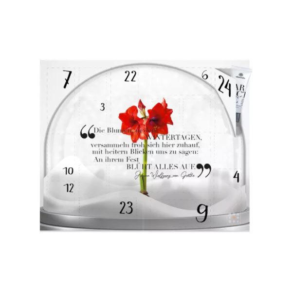 Calendrier de l'avent Alessandro