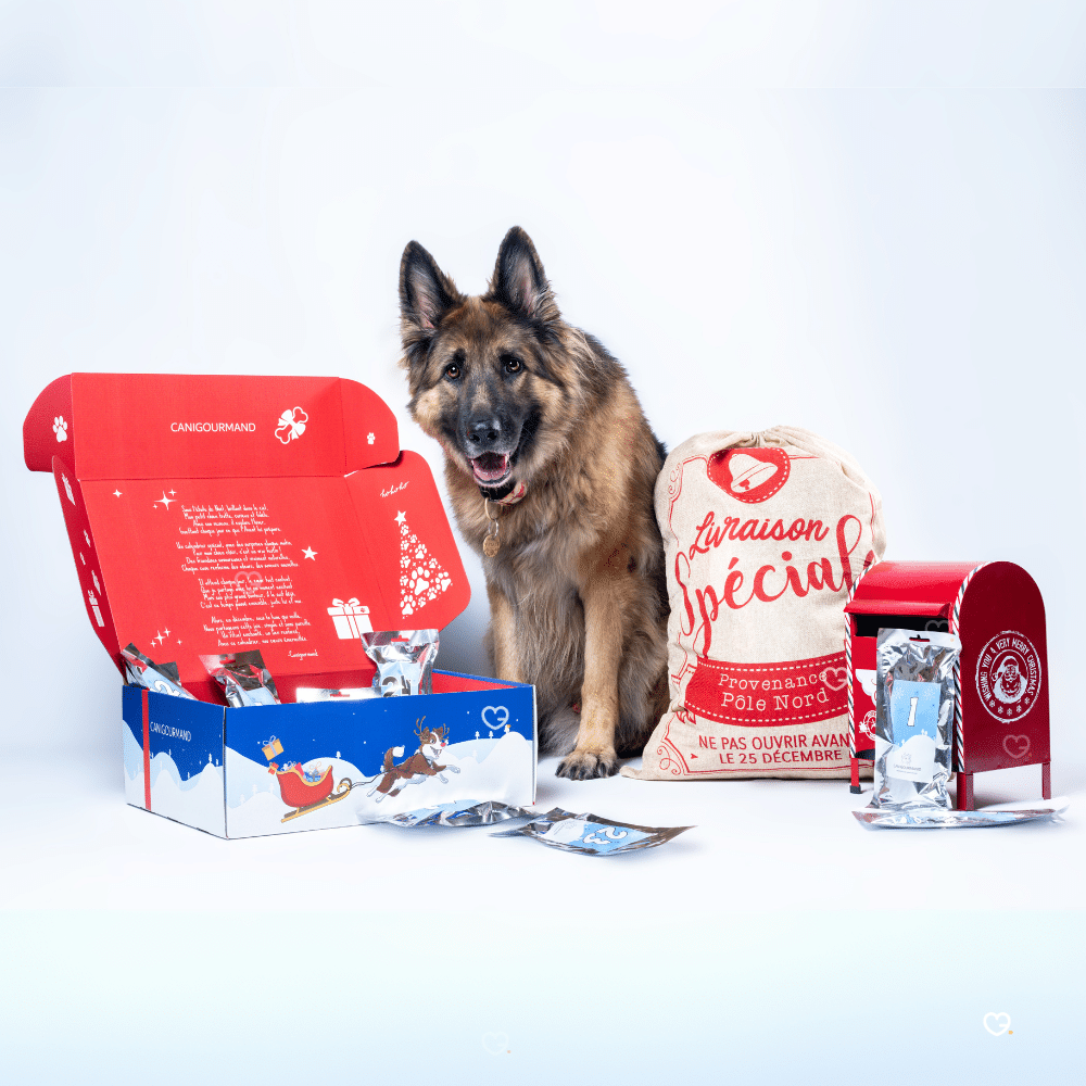 Calendrier de l'avent CaniGourmand