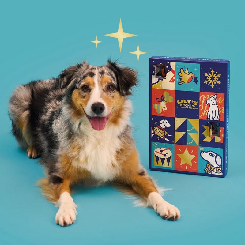 Calendrier de l'avent Lily’s Kitchen – Chiens