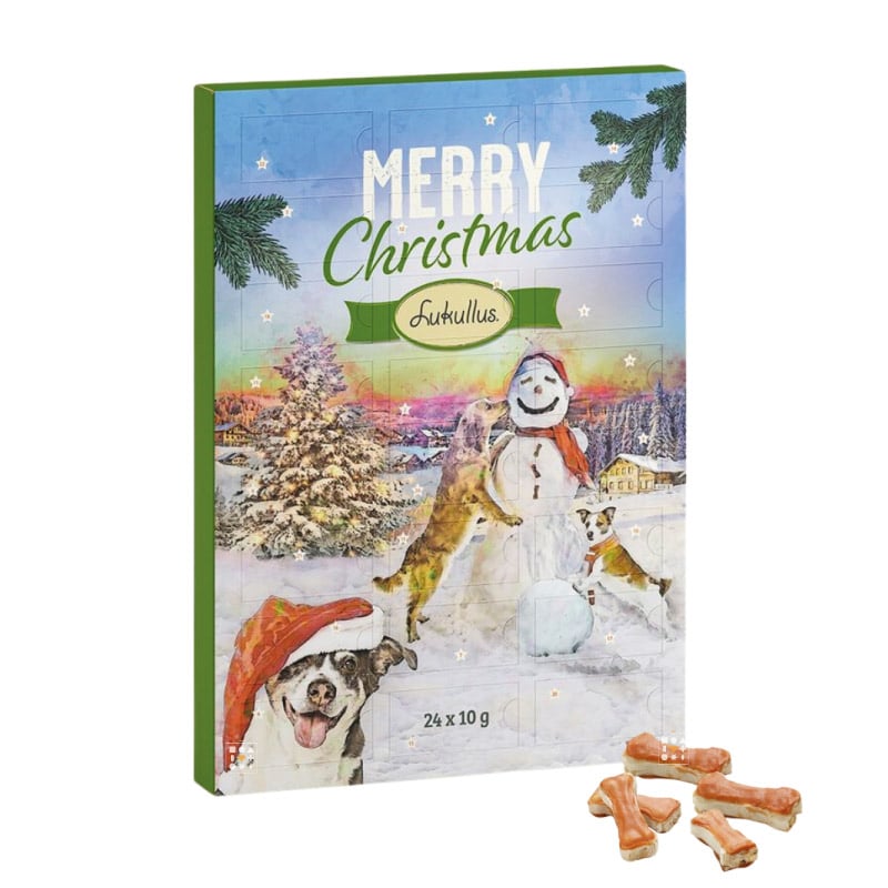 Calendrier de l'avent Lukullus – Chien