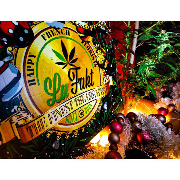Calendrier de l'avent CBD Faktory (24g)