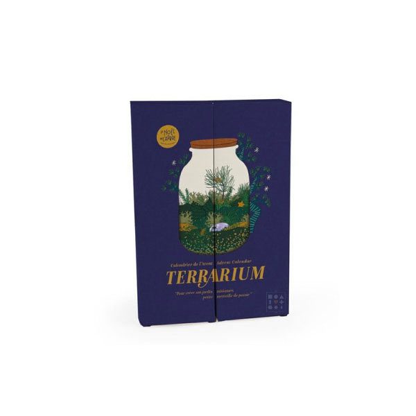 Calendrier de l'avent Nature & Découvertes – Terrarium