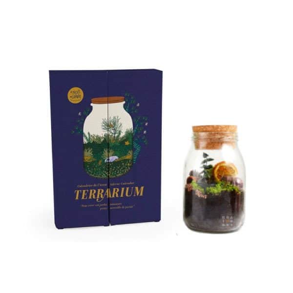 Calendrier de l'avent Nature & Découvertes – Terrarium