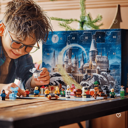 Lego Harry Potter (76456)