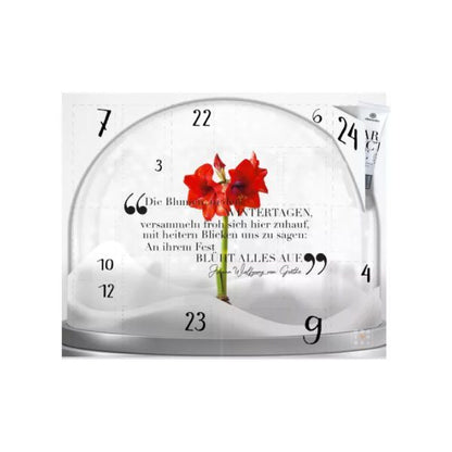 Calendrier de l'avent Alessandro