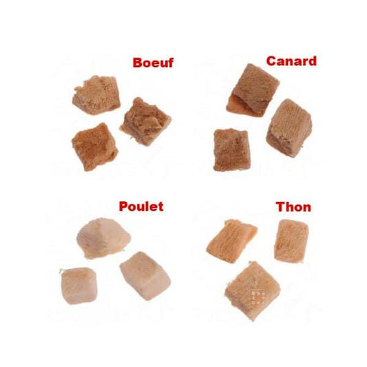 Chat Cosma Snackies