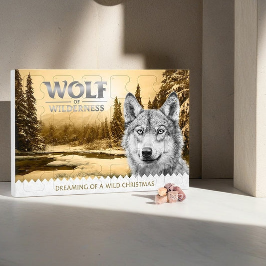 Calendrier de l'avent Wolf of Wilderness