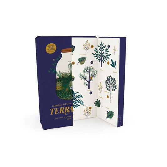 Calendrier de l'avent Nature &#038; Découvertes &#8211; Terrarium